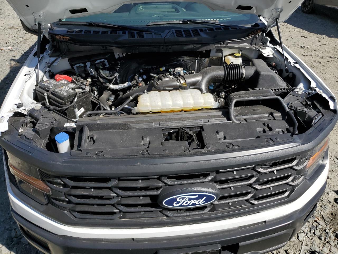 2024 FORD F150 XL VIN:1FTMF1KP7RKE55980