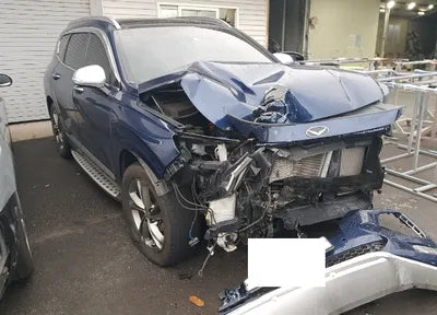 2019 Hyundai Santa FE KMHS581BBKU079646 VIN:KMHS581BBKU079646