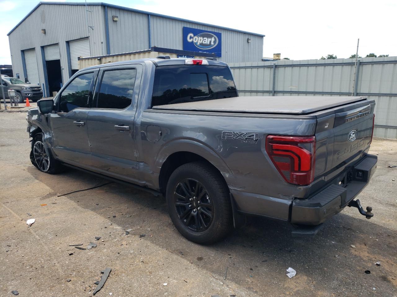2024 FORD F150 PLATINUM VIN:1FTFW7L82RFA99448