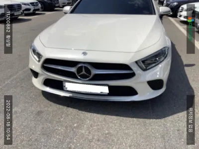 2019 Mercedes-Benz CLS 400 WDD2J2DB4KA020395 VIN:WDD2J2DB4KA020395