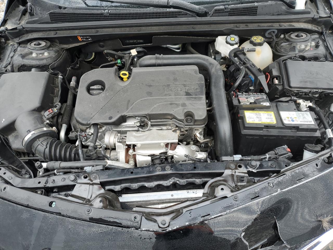 2023 CHEVROLET MALIBU RS VIN:1G1ZG5ST3PF184986