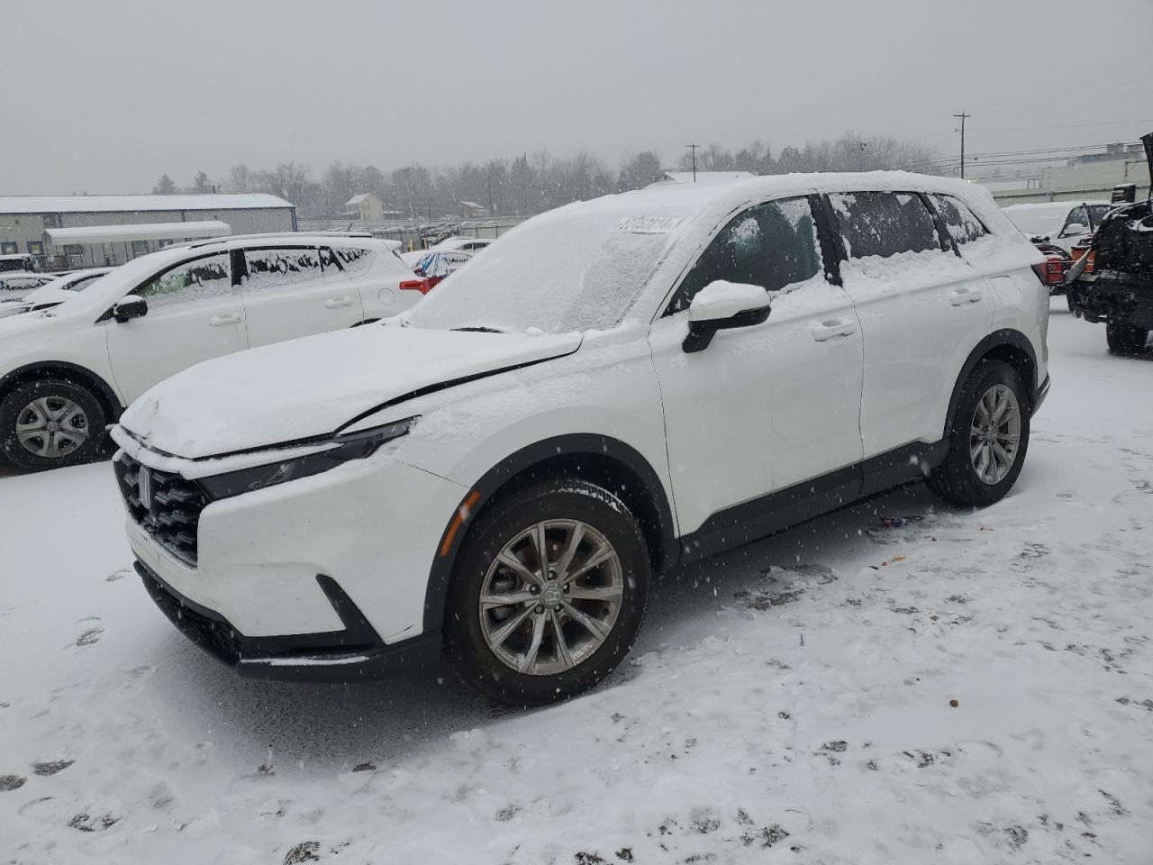 2023 HONDA CR-V EXL VIN:2HKRS4H72PH404697