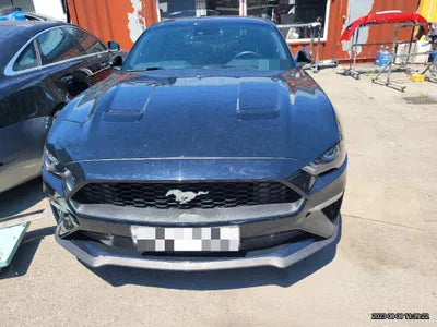 2019 Ford Mustang VIN: