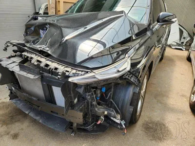 2020 Hyundai Santa FE KMHS281BBLU278419 VIN:KMHS281BBLU278419