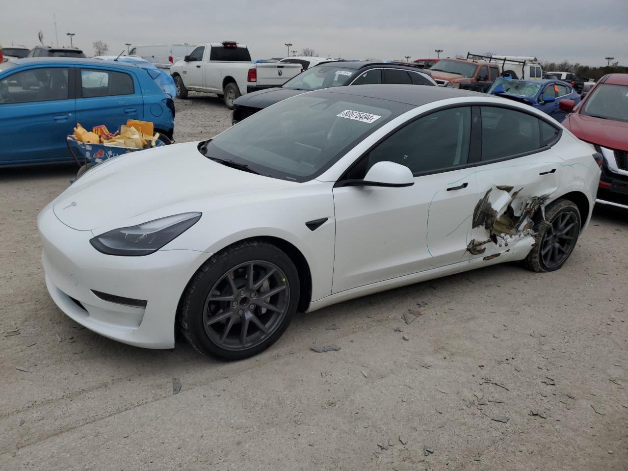2023 TESLA MODEL 3  VIN:5YJ3E1EA2PF461783