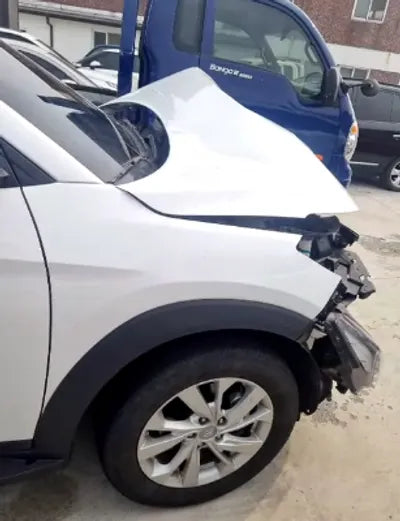 2019 Hyundai Tucson KMHJ381ABKU894774 VIN:KMHJ381ABKU894774