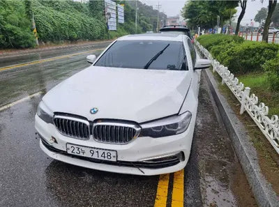 2019 BMW 520 WBAJK7107KGL29288 VIN:WBAJK7107KGL29288