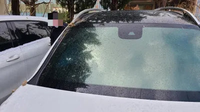 2021 Mercedes-Benz B 250 W1N4M4HB4MW101928 VIN:W1N4M4HB4MW101928