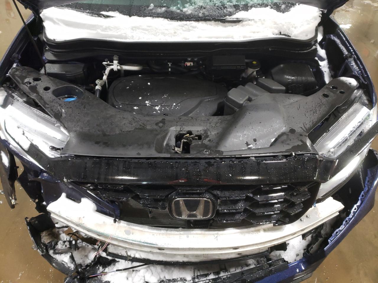 2022 HONDA PASSPORT ELITE VIN:5FNYF8H0XNB007521