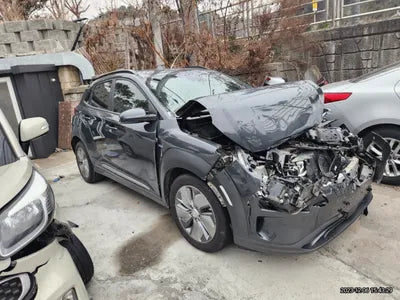 2019 Hyundai Kona KMHK381GFKU060030 VIN:KMHK381GFKU060030