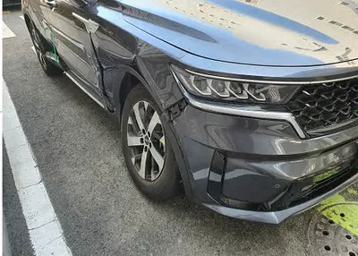 2022 Kia Sorento KNARG81FGNA119758 VIN:KNARG81FGNA119758