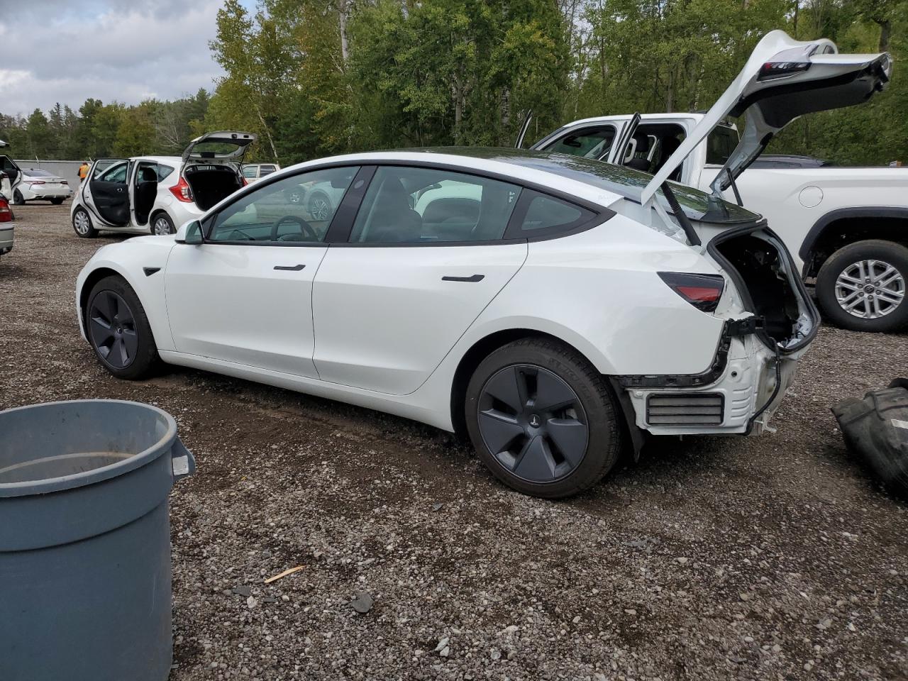 2023 TESLA MODEL 3  VIN:5YJ3E1EA4PF482554
