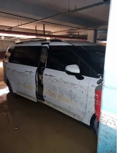 2022 Kia Carnival KNANE81BBPS230361 VIN:KNANE81BBPS230361