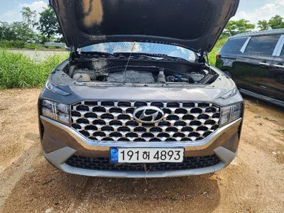 2022 Hyundai Santa FE KMHS281HHNU438833 VIN:KMHS281HHNU438833