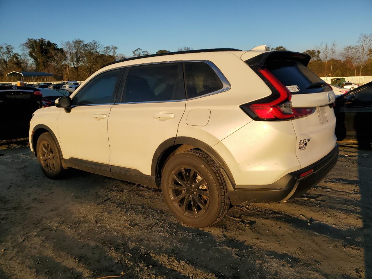 2024 HONDA CR-V EXL VIN:5J6RS4H76RL006854