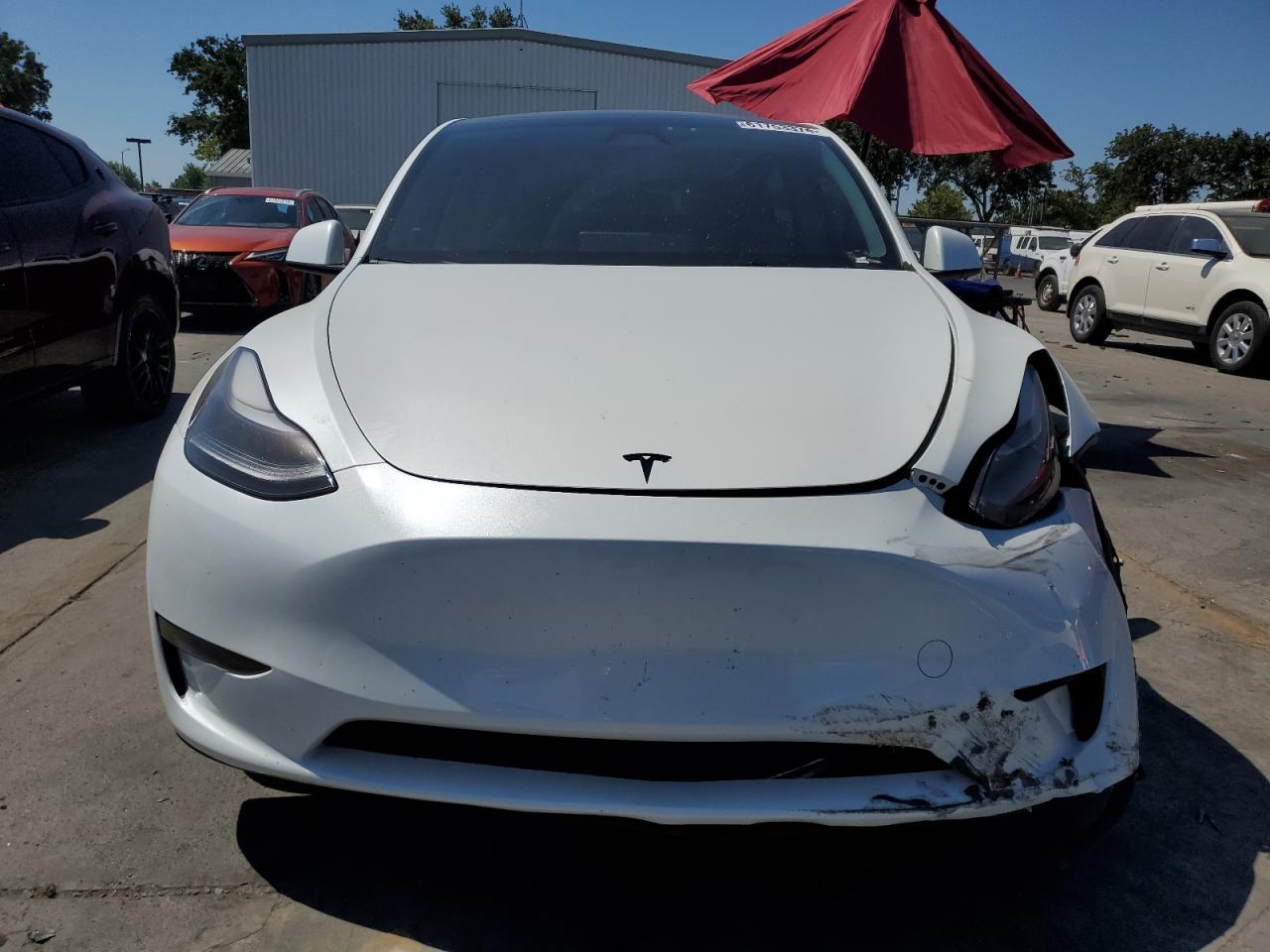 2023 TESLA MODEL Y  VIN:7SAYGDEF6PF843749