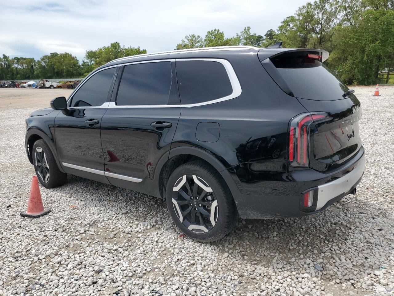 2024 KIA TELLURIDE EX VIN:5XYP34GC2RG515506