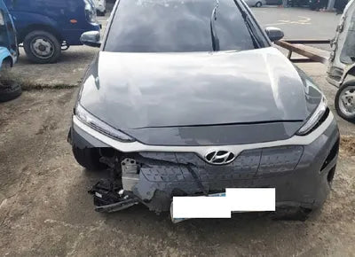 2019 Hyundai Kona KMHK381GFKU013222 VIN:KMHK381GFKU013222