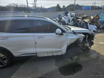 2019 Hyundai Santa FE KMHS381CBKU011363 VIN:KMHS381CBKU011363