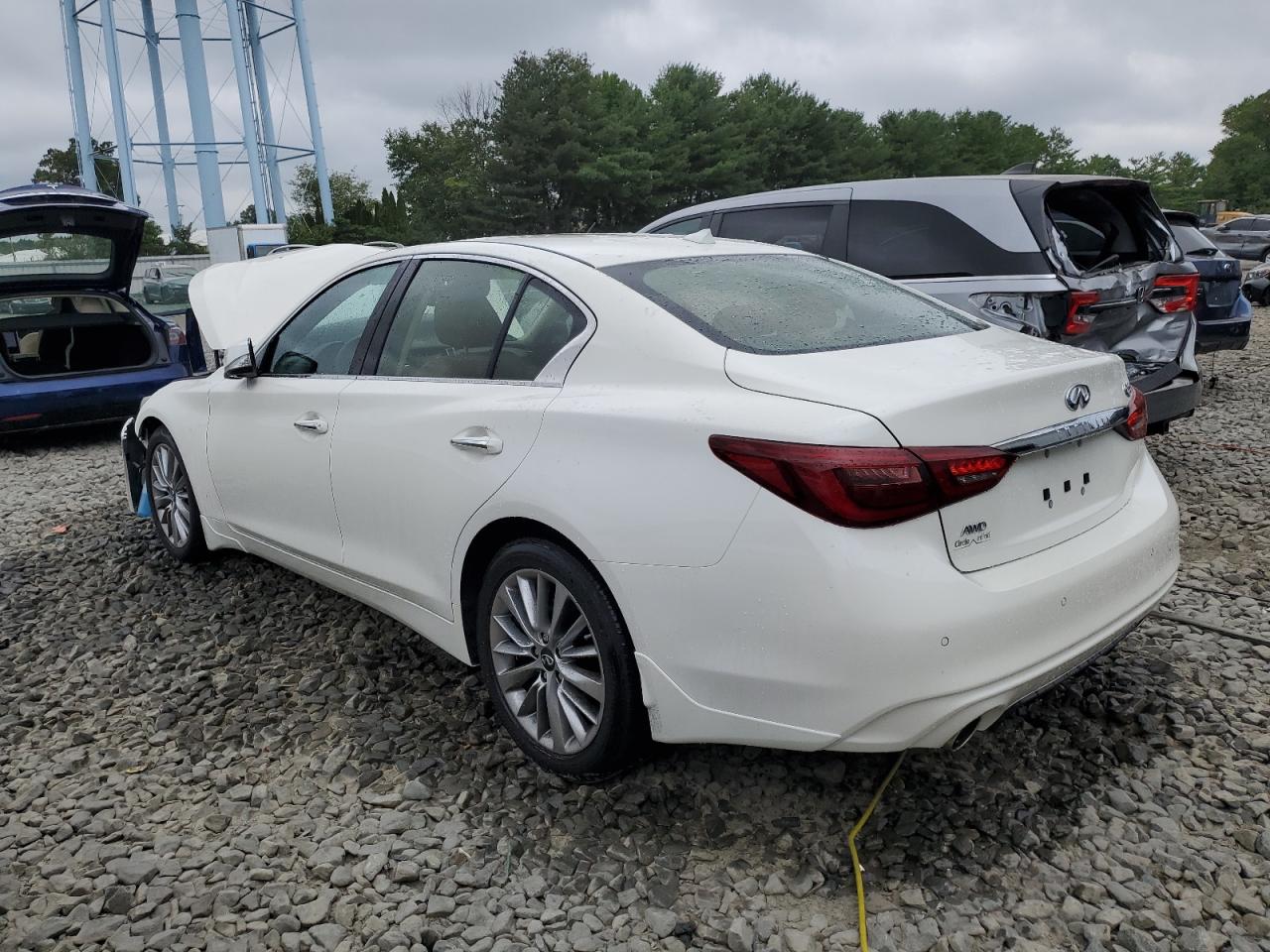 2023 INFINITI Q50 LUXE VIN:JN1EV7BR8PM543016