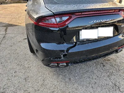 2020 Kia Stinger KNAE751CDLS072061 VIN:KNAE751CDLS072061