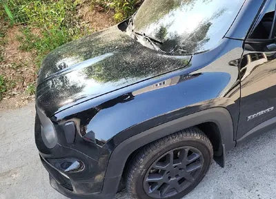 2020 Jeep Renegade 1C4BU0000LPL78079 VIN:1C4BU0000LPL78079