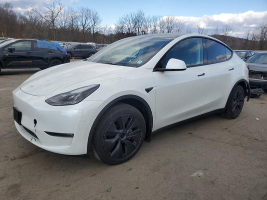 2024 TESLA MODEL Y  VIN:7SAYGDEE8RF133410