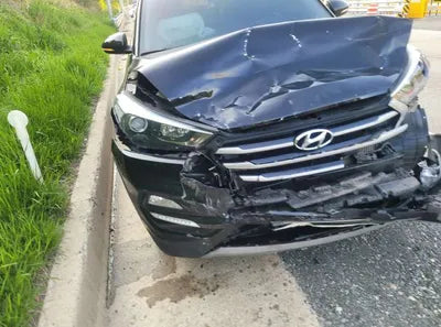 2017 Hyundai Tucson KMHJ381ABJU495682 VIN:KMHJ381ABJU495682