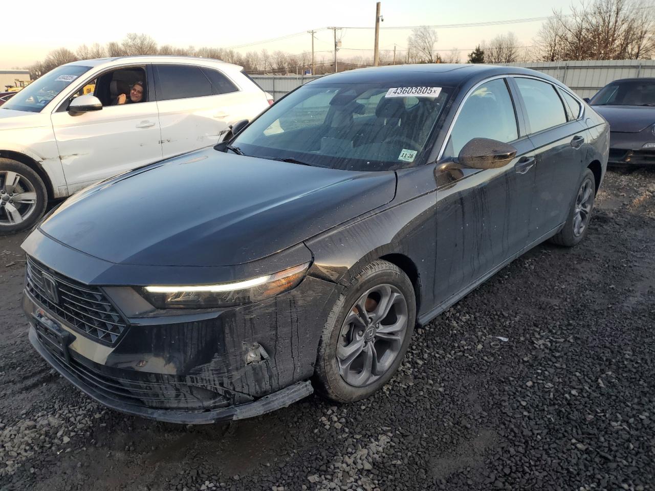 2024 HONDA ACCORD EX VIN:1HGCY1F36RA004513