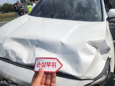 2019 Hyundai Santa FE KMHS381BBKU171201 VIN:KMHS381BBKU171201