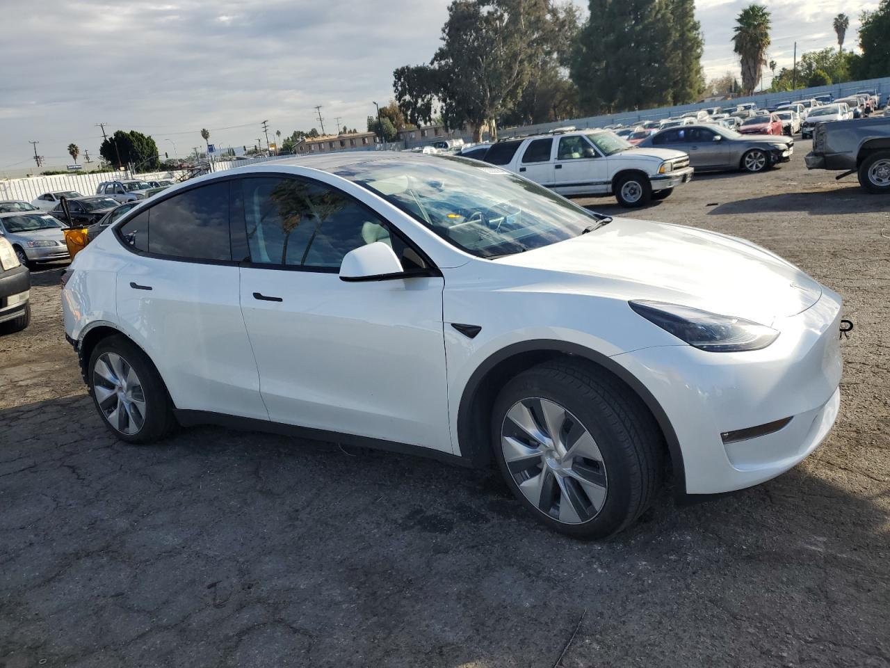 2023 TESLA MODEL Y  VIN:7SAYGDEE2PF834070