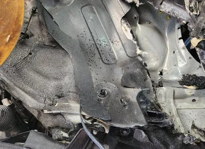 2023 Kia Sorento KNARH81GBPA159923 VIN:KNARH81GBPA159923