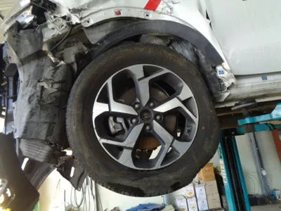 2019 Kia Sportage KNAPM813DKK704377 VIN:KNAPM813DKK704377