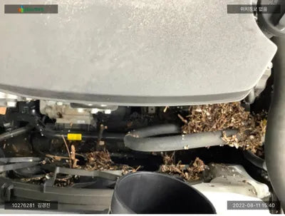 2019 Genesis G80 KMHGN41EDKU315452 VIN:KMHGN41EDKU315452