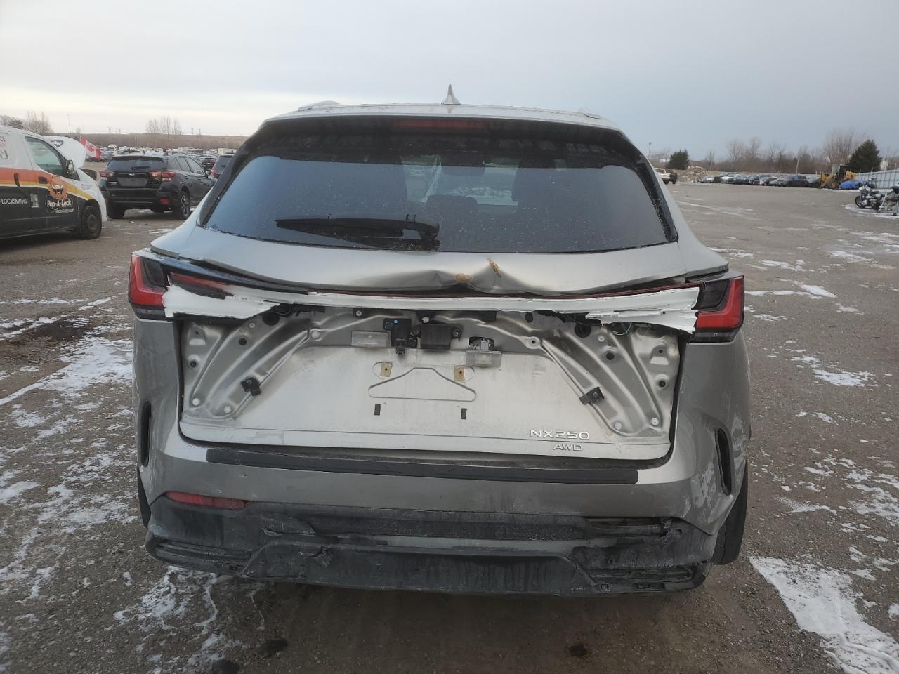 2023 LEXUS NX 250 VIN:2T2ADCEZ7PC003135
