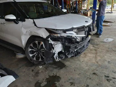 2021 Kia Carnival KNANB81BBMS104521 VIN:KNANB81BBMS104521