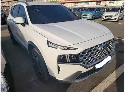 2021 Hyundai Santa FE KMHS381HGMU315041 VIN:KMHS381HGMU315041