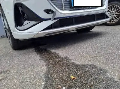 2021 Audi e-tron WAUZZZGE2MB043832 VIN:WAUZZZGE2MB043832