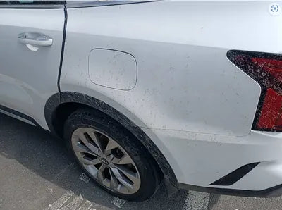 2021 Kia Sorento KNARK81BHMA010781 VIN:KNARK81BHMA010781