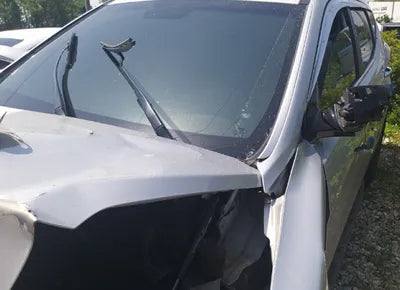 2017 Hyundai Santa FE KMHSU81UBHU703288 VIN:KMHSU81UBHU703288