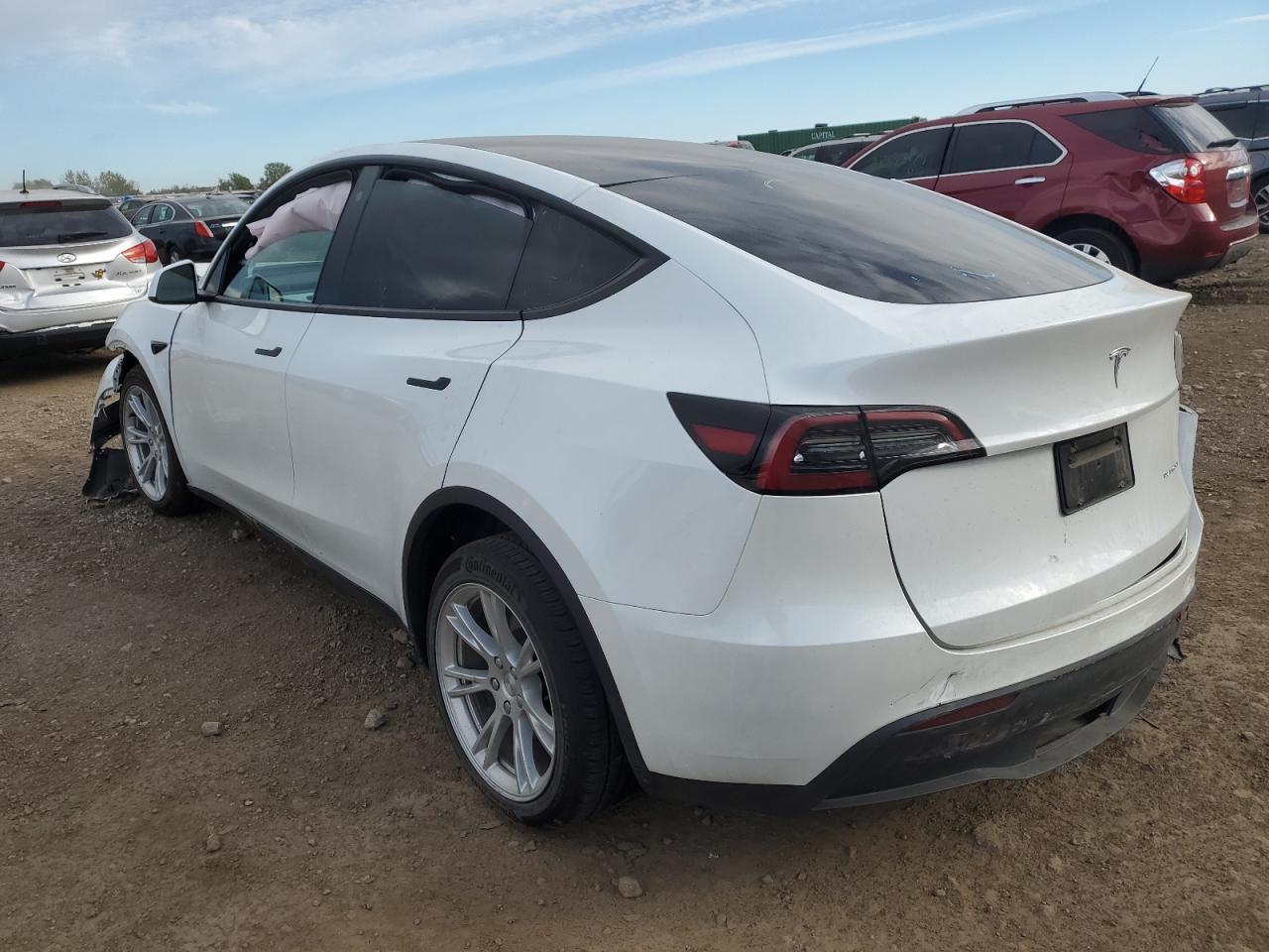 2023 TESLA MODEL Y  VIN:7SAYGDEE5PF623865