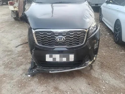 2019 Kia Sorento KNAPH81BBKA501737 VIN:KNAPH81BBKA501737