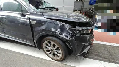 2020 Kia Sorento KNARG81BGMA017381 VIN:KNARG81BGMA017381