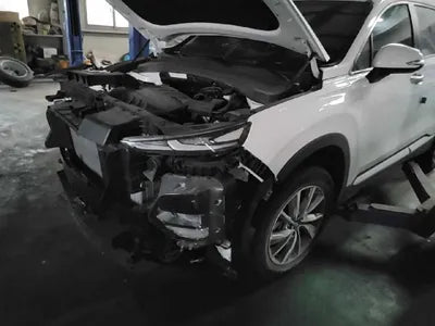 2020 Hyundai Santa FE KMHS281BBLU285203 VIN:KMHS281BBLU285203