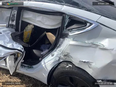 2020 Tesla Model 3 5YJ3E1EB9LF695079 VIN:5YJ3E1EB9LF695079