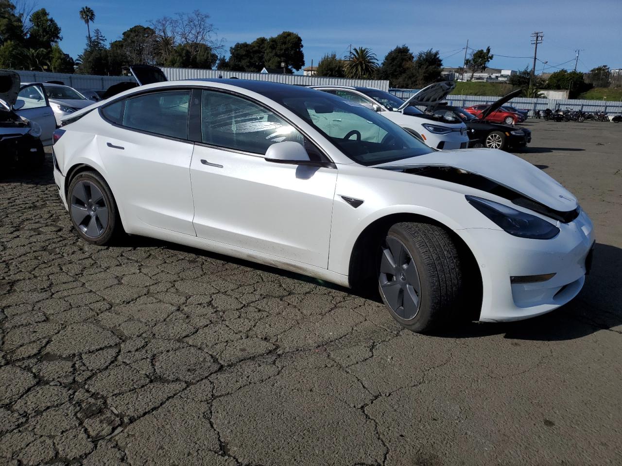 2022 TESLA MODEL 3  VIN:5YJ3E1EB6NF366696