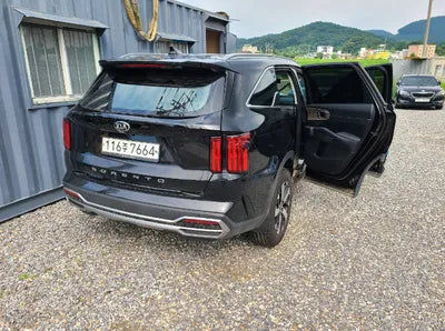 2021 Kia Sorento KNARL81BGMA067124 VIN:KNARL81BGMA067124