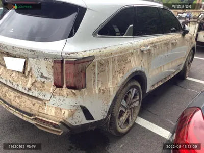 2022 Kia Sorento KNARK81GBNA102372 VIN:KNARK81GBNA102372