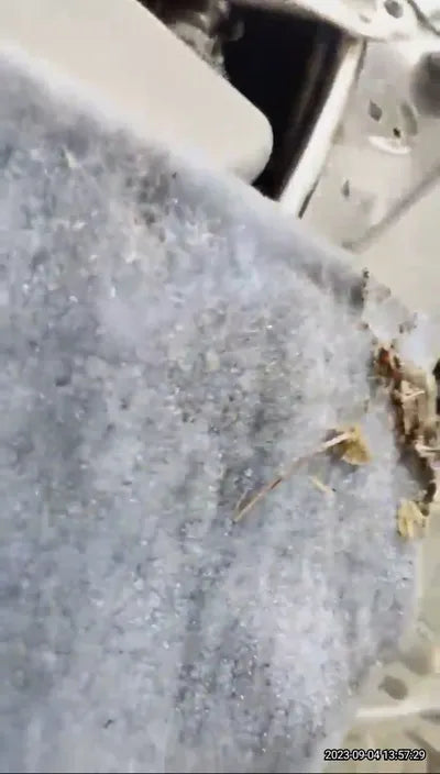 2021 BMW 840 WBAGV4108MCG76447 VIN:WBAGV4108MCG76447