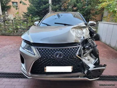 2021 Lexus RX 450 JTJBGMCA1M2063003 VIN:JTJBGMCA1M2063003